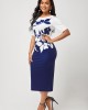 Color Block Leaf Print Round Neck Dress