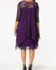 Chiffon Overlay Three Quarter Sleeve Lace Dress