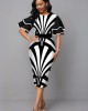 Ruffle Sleeve Stripe Print Contrast Sheath Dress