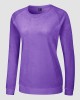 Women's Sweatshirt Crewneck Pullover Casual Long Sleeve Shirts Fleece Warm Velour Sweatshirts